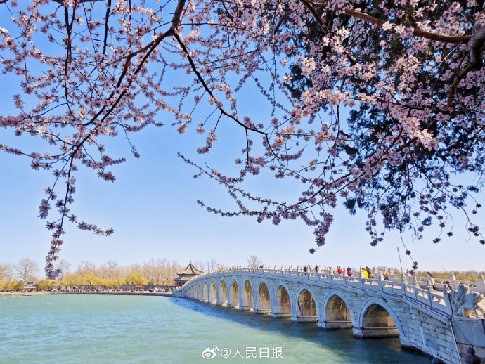 頤和園十七孔橋と満開の桃の花による美しい春のコラボ 北京