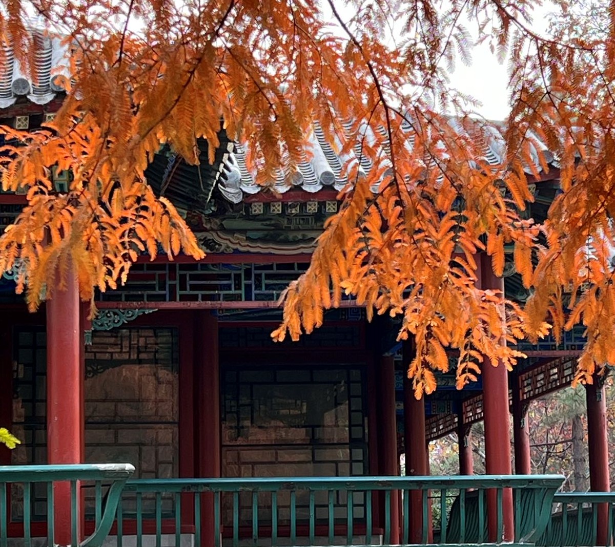 北京の秋が深まり　古都の魅力をアピール